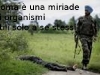 6_poesia_7